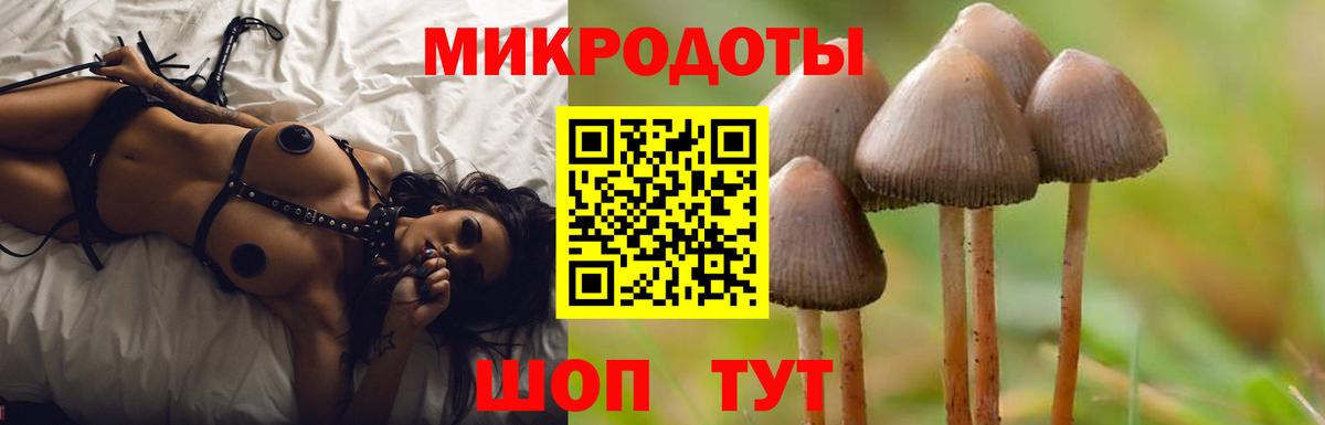 Псилоцибиновые грибы мухоморы Серпухов